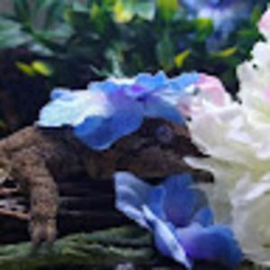 Meet your Posher, Vick